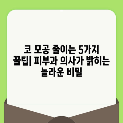 코 모공 줄이기 위한 뜻밖의 해결책 5가지 | 피부과 의사가 알려주는 놀라운 비법