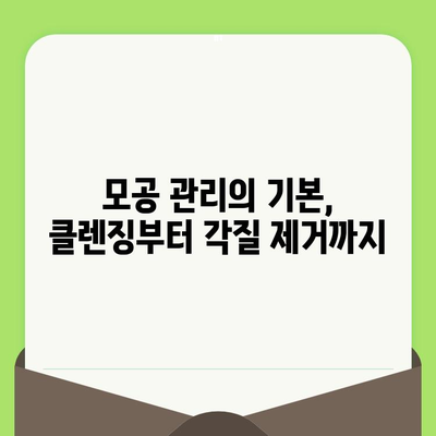 완벽한 모공 관리를 위한 단계별 가이드 | 깨끗하고 매끈한 피부를 위한 솔루션