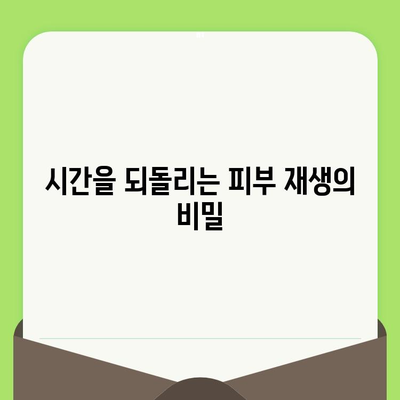 손상되고 노화된 피부를 위한 맞춤 치료| 피부 고민 해결 솔루션 | 피부 재생, 탄력 개선, 주름 완화, 맞춤형 스킨케어