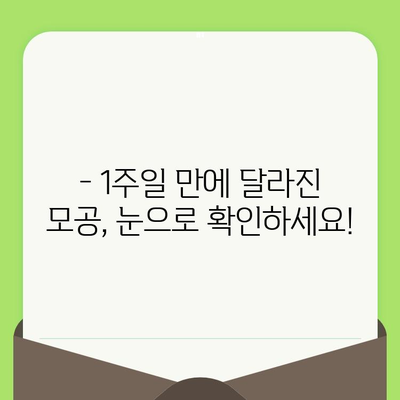 모공 관리 1회차 후기| 속건조 해결, 피부 변화는? | 모공 축소, 촉촉한 피부, 1주일 변화