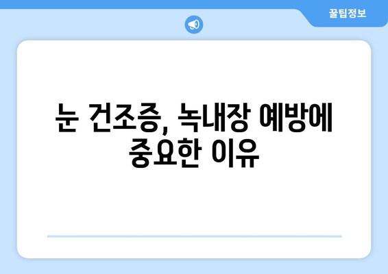 눈 건조증, 녹내장 위험과의 연관성| 알아야 할 모든 정보 | 눈 건강, 안구 건조증, 녹내장 예방