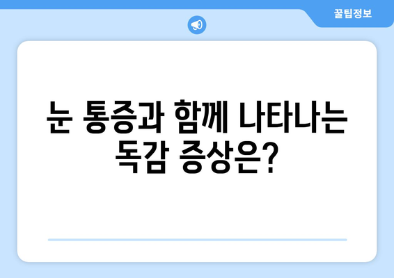 독감으로 인한 눈통증, 원인과 예방법 완벽 가이드 | 독감, 눈 통증, 증상, 예방