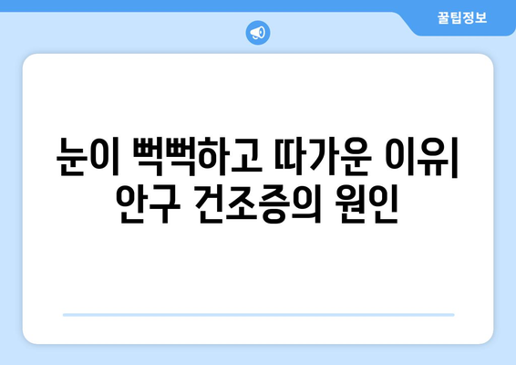 안구 건조증으로 인한 눈 통증| 원인과 해결 위한 관리 가이드 | 눈 건조증, 눈 통증, 눈 관리