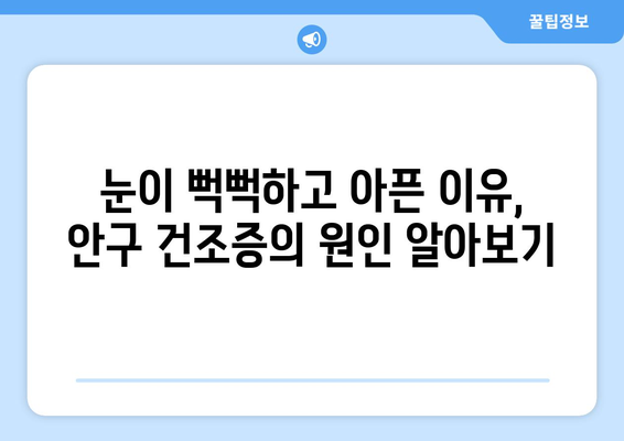 안구 건조증으로 인한 눈 통증의 원인과 관리 방법 | 건조한 눈, 눈 통증 해결, 안구 건강 관리