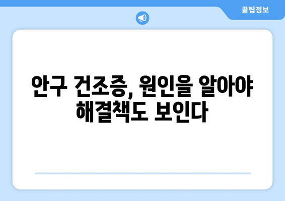 안구 건조증, 눈 통증의 주범? 원인과 해결책 | 안구 건조증, 눈 통증, 건조한 눈, 눈 건강