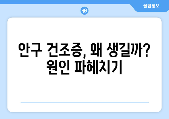 눈 통증의 숨겨진 원인, 안구 건조증| 증상, 원인, 해결책 | 눈 건강, 안구 증상, 건조증 치료