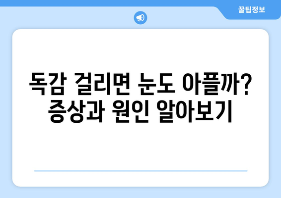 독감 눈 통증, 증상과 원인 파악하기|  눈 건강 관리 가이드 | 독감, 눈 통증, 증상, 원인, 관리