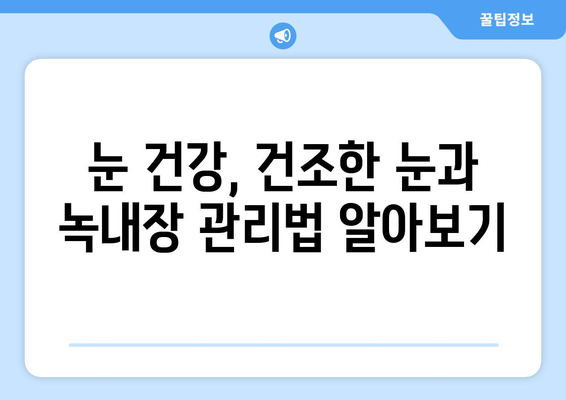 건조한 눈, 눈통이 녹내장 아닌 증상일 수도? | 건조한 눈 증상, 녹내장과의 차이, 원인과 치료