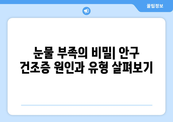 안구 건조증, 눈 통증의 원인은 무엇일까요? | 증상, 원인, 해결책, 예방법