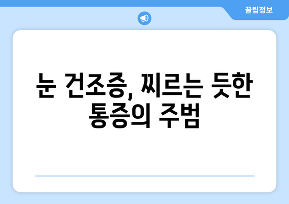 눈 건조증으로 인한 날카로운 눈 통증, 그 원인과 해결책 | 눈 건조증, 눈 통증, 눈 건강, 관리법, 치료