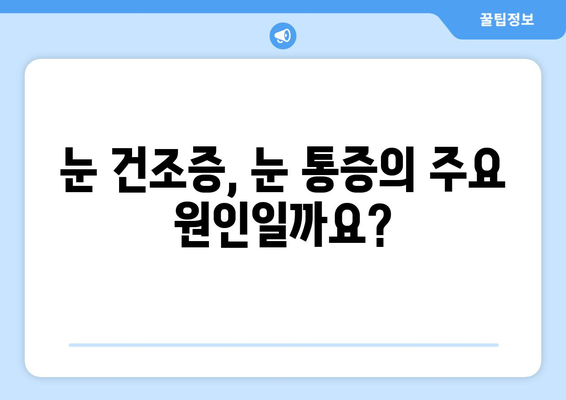 눈 건조증이 눈 통증을 유발할까요? | 건조증, 눈 통증, 원인, 증상, 해결 방안