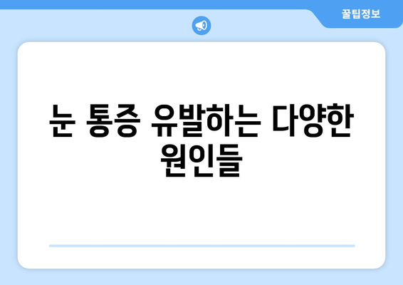 눈 통증, 왜 생길까? 원인과 치료 병원 찾는 방법 | 눈 통증, 안과 진료, 원인 분석, 병원 추천