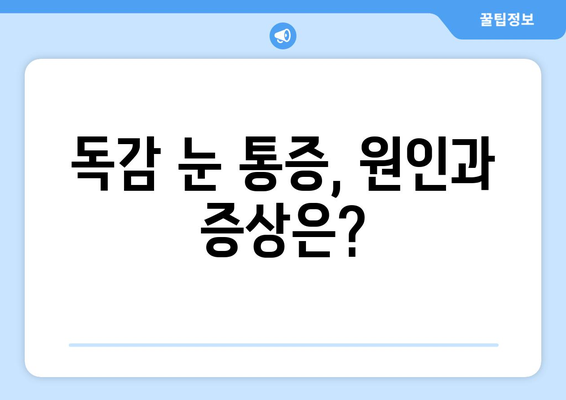 독감으로 인한 눈 통증| 원인, 증상, 완화 방법 | 독감, 눈 증상, 눈 통증, 눈 건강