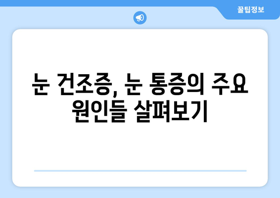 안구 건조증 눈통증, 왜 생길까요? 관리 방법과 함께 알아보세요 | 눈 건조증, 눈 통증, 관리법, 원인, 증상, 예방