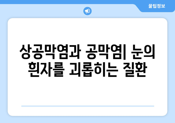 상공막염과 공막염| 원인, 증상, 한의학적 치료법 총정리 | 눈 건강, 안과 질환, 한방 치료