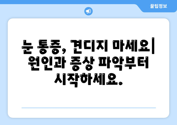 눈 통증과 발병 증상| 적절한 치료법 선택 가이드 | 눈 통증 원인, 증상, 치료, 예방