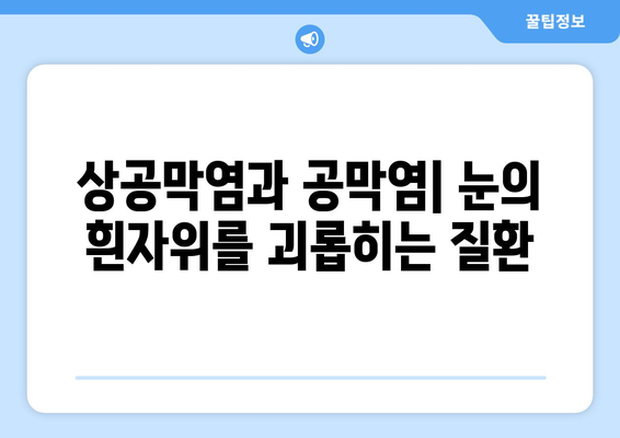 상공막염과 공막염| 원인, 증상, 그리고 한의학적 치료법 | 눈 질환, 한방 치료,  안구 건강