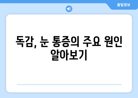 독감 걸렸을 때 눈 통증, 원인과 예방법 완벽 가이드 | 독감, 눈 통증, 눈 건강, 겨울철 건강 관리