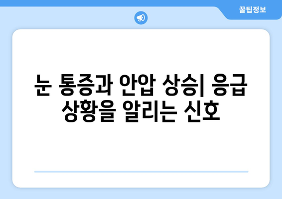 눈 통증과 안압 상승| 응급 상황, 어떻게 구별할까요? | 눈 통증, 안압, 응급 상황, 감별법, 증상