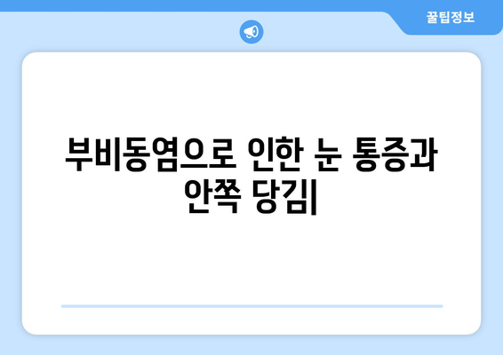 부비동염으로 인한 눈 통증과 안쪽 당김| 원인과 해결책 | 부비동염, 눈 통증, 안쪽 당김, 증상, 치료