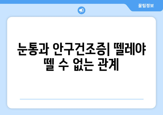 눈통과 안구건조증의 연관성| 원인, 증상, 예방 및 치료 | 눈 건강, 렌즈 착용, 건조증