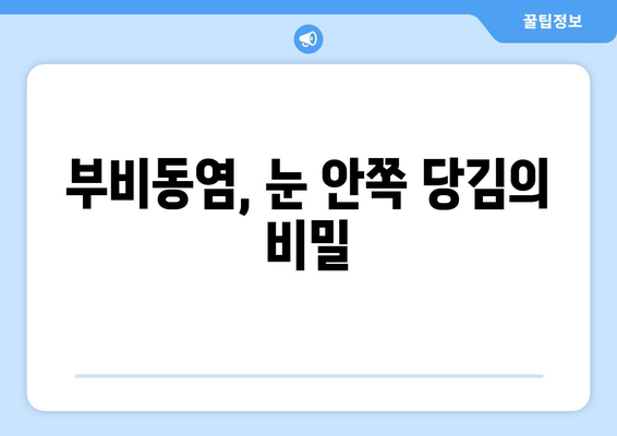 부비동염, 눈 안쪽 당김과 시신경 압박의 원인| 자세히 알아보기 | 부비동염 증상, 안구 통증, 시력 저하