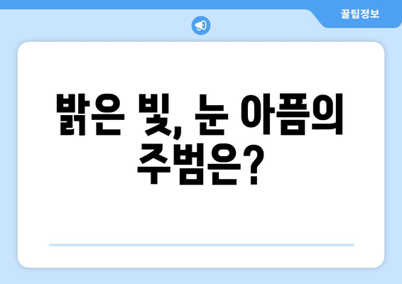 밝은 빛에 눈이 아플 때? 😵‍💫 눈 통증의 원인과 해결책 | 눈 건강, 눈 부심, 눈 피로