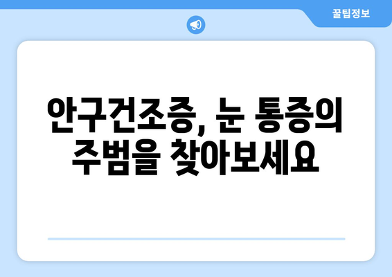 안구 건조증으로 인한 눈 통증, 이유와 관리법 | 눈 건조증, 눈 통증, 관리 가이드