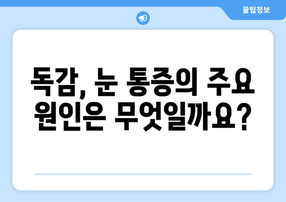 독감으로 인한 눈통증, 원인과 예방법 완벽 가이드 | 독감, 눈 통증, 증상, 예방