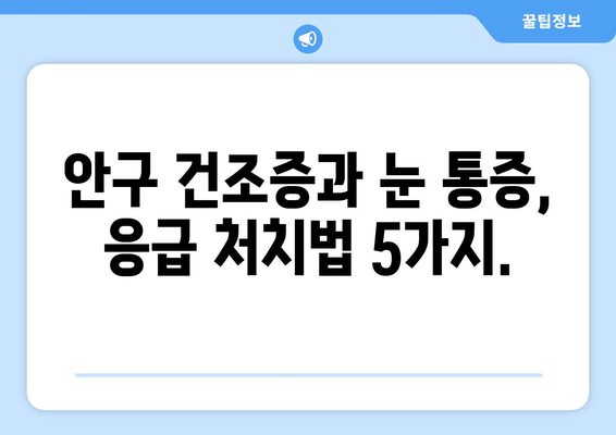 안구 건조증과 눈 통증| 응급 상황인지 확인하는 방법 | 안구 건조증 증상, 눈 통증 원인, 응급 처치