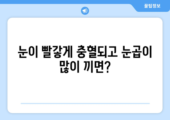 밝은 빛에 날카로운 눈통이 올 때? 의심해야 할 5가지 원인 | 눈 통증, 눈 부심, 시력 저하, 건강 팁