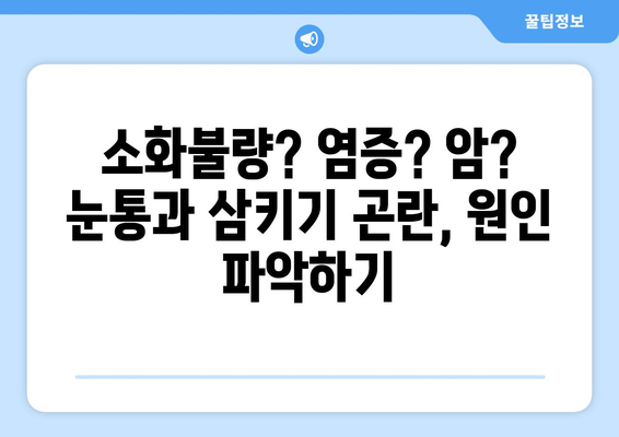 눈통과 삼키기 곤란, 이럴 땐 의심해야 할 질병 5가지 |  소화불량, 염증, 암, 진단, 증상