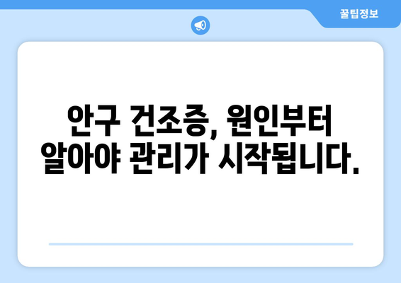 안구 건조증 눈 통증, 원인과 관리 방법| 증상 완화를 위한 솔루션 | 눈 건조증, 눈 통증, 안구 건조증 관리, 눈 건강