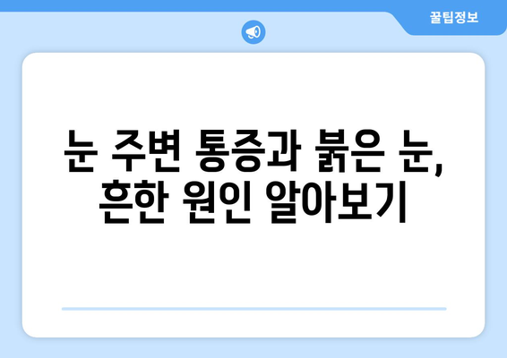 눈 주변 통증과 붉은 눈, 원인과 해결책 | 눈 통증, 눈 충혈, 안과 질환, 자가 진단