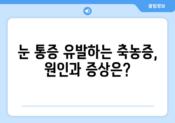 축농증, 눈 통증과의 연관성| 원인과 증상, 치료법 | 부비동염, 두통, 눈의 피로