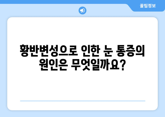 황반변성으로 인한 눈 통증, 응급 상황일까요? | 황반변성, 눈 통증, 응급 처치, 진단, 치료