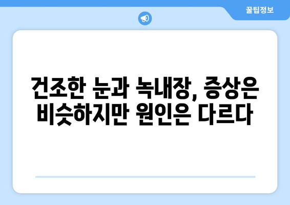 건조한 눈, 눈통이 녹내장 아닌 증상일 수도? | 건조한 눈 증상, 녹내장과의 차이, 원인과 치료