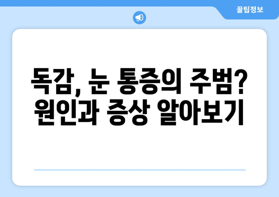 독감으로 인한 눈 통증, 원인과 예방법 | 눈 통증 완화, 독감 증상, 건강 관리 팁