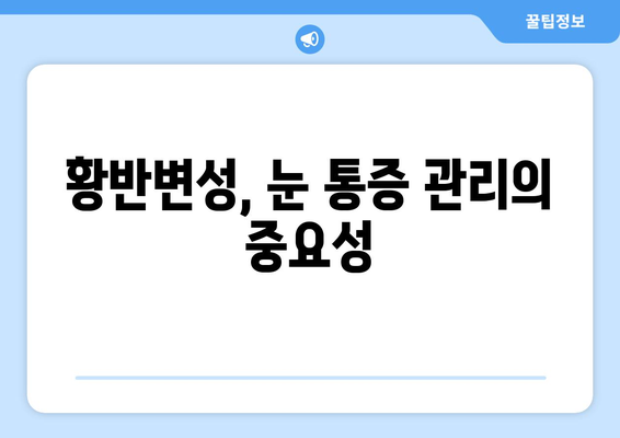 황반변성 극복, 눈 통증 완화하는 방법| 전문가가 알려주는 5가지 전략 | 황반변성, 눈 통증, 치료, 관리, 예방