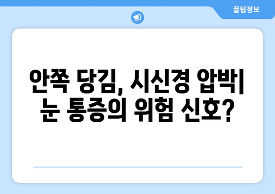 부비동염과 눈통증| 안쪽 당김과 시신경 압박의 원인과 해결책 | 부비동염, 눈통증, 안구 통증, 시신경, 두통