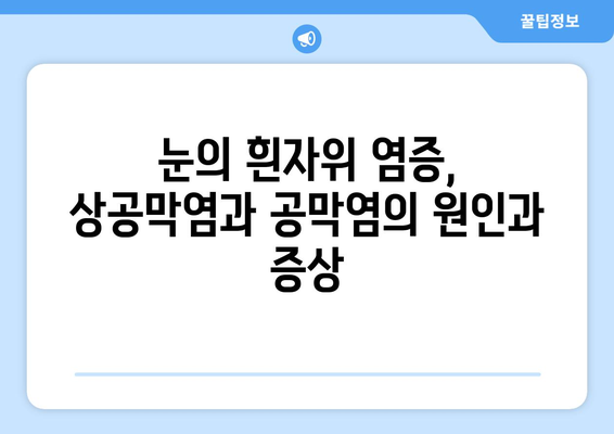 상공막염과 공막염| 원인, 증상, 그리고 한의원 치료법 | 눈 건강, 한방 치료, 안과 질환