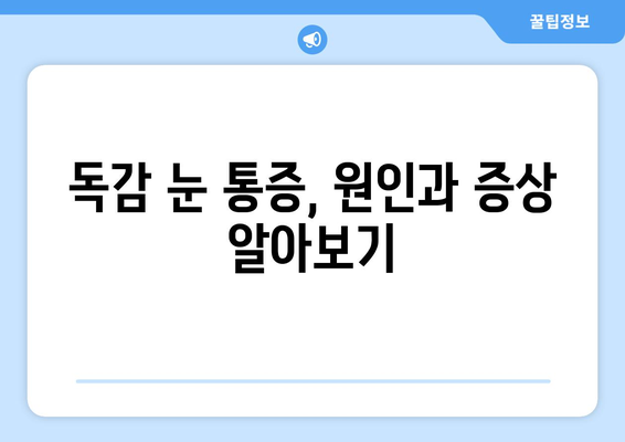 독감 눈 통증, 증상과 예방법 완벽 가이드 | 독감, 눈 통증, 증상, 예방, 관리