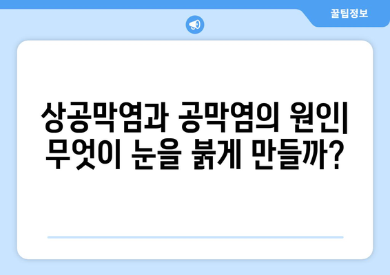 상공막염과 공막염| 원인, 증상, 그리고 한의학적 치료법 | 눈 질환, 한방 치료,  안구 건강