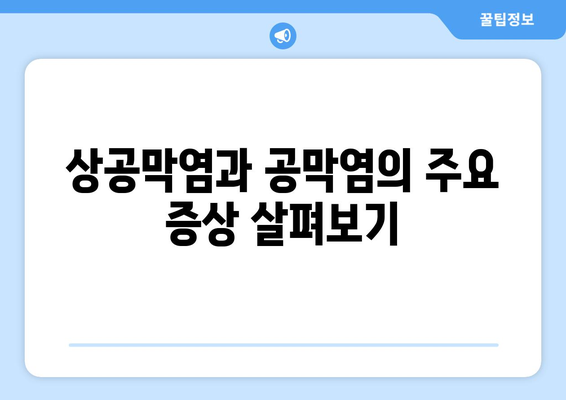 상공막염과 공막염| 원인, 증상, 한의학적 치료 및 관리 가이드 | 눈 질환, 안과 질환, 한방 치료