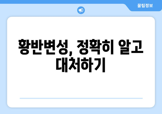 황반변성, 솔직한 극복 방법| 전문가가 알려주는 실질적인 조언과 관리 가이드 | 황반변성 치료, 예방, 관리, 식단, 운동