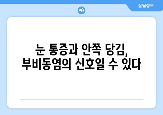 부비동염으로 인한 눈 통증과 안쪽 당김| 원인과 해결책 | 부비동염, 눈 통증, 안쪽 당김, 증상, 치료