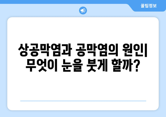 상공막염과 공막염| 원인, 증상, 한의학적 치료법 총정리 | 눈 건강, 안과 질환, 한방 치료