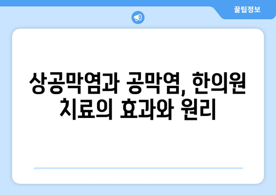 상공막염과 공막염, 원인부터 한의원 치료까지 | 눈 건강, 증상, 치료법, 한방