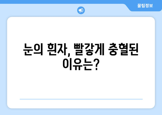 공막염, 눈염증과 눈충혈의 원인 파헤치기| 원인, 증상, 한의학적 치료 | 눈 건강, 안과 질환, 한방 치료