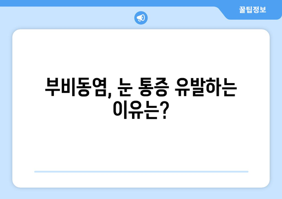 부비동염, 눈 통증과 안구 압박감의 원인과 해결책 | 부비동염 증상, 눈 통증 완화, 안구 압박 완화